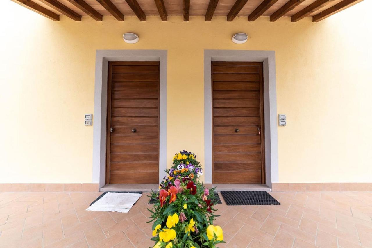 Il Mandorlo Nella Campagna Di Certaldo * Aia Murata